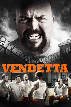 Vendetta 2015 Dual Audio