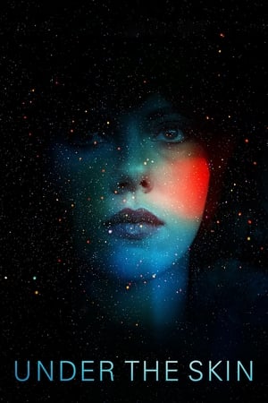 Under the Skin 2014 Dual Audio