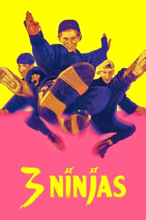 3 Ninjas 1992 Dual Audio
