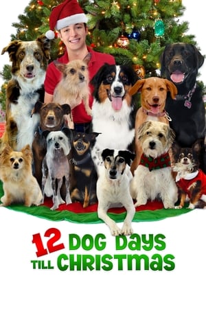 12 Dog Days Till Christmas 2014 Dual Audio