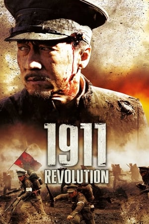 1911 2011 Dual Audio