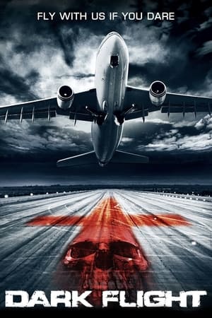 407 Dark Flight 2012 dual audio
