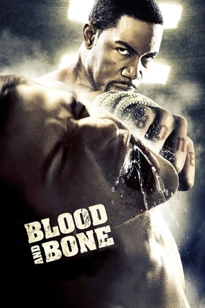 Blood and Bone 2009 dual audio