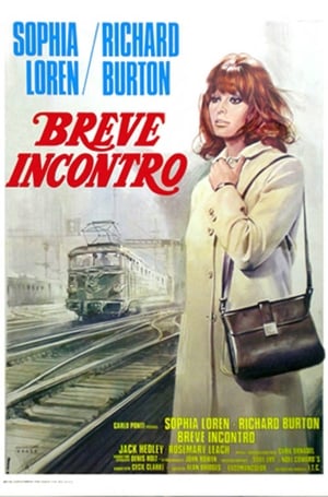 Brief Encounter 1974 dual audio