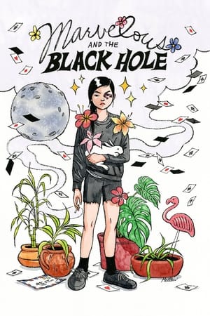 Marvelous and the Black Hole 2021 BRRIp
