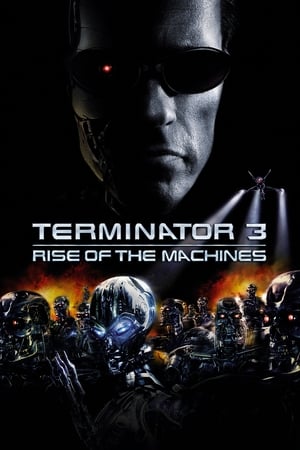 Terminator 3: Rise of the Machines 2003 dual audio