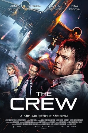 Flight Crew 2016 dual audio