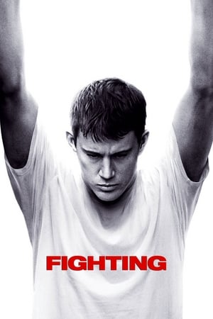 Fighting 2009 dual audio
