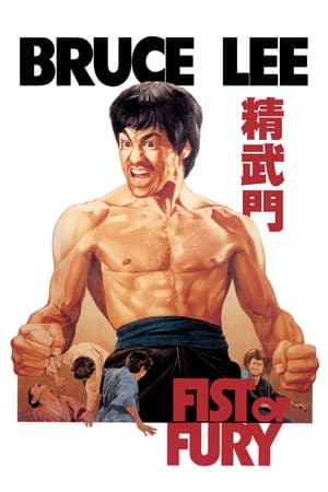 Fist of Fury 1971 dual audio