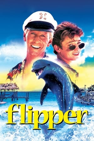 Flipper 1996 dual audio