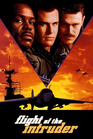 Flight of the Intruder 1991 dual audio