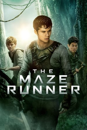 The Maze Runner 2014 Dual Audio