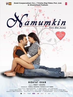 Namumkin Tere Bin Jeena 2020 BRRIp