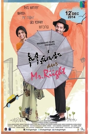Main Aur Mr. Riight 2014