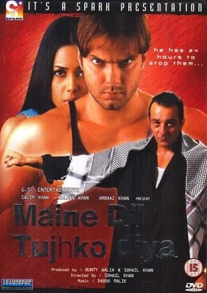 Maine Dil Tujhko Diya 2002