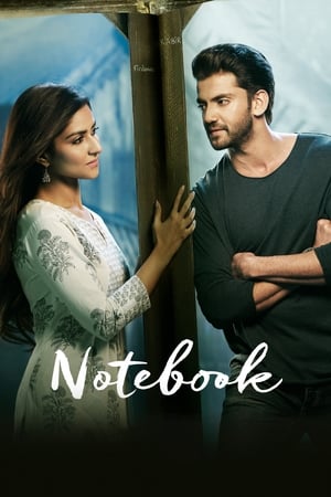 Notebook 2019 BRRIp