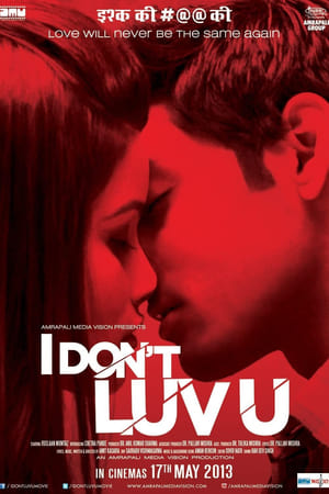 I Don't Luv U 2013
