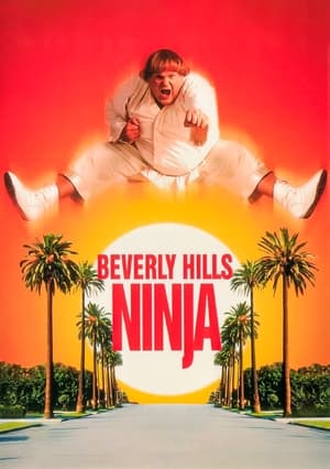 Beverly Hills Ninja (1997) Dual Audio Hindi