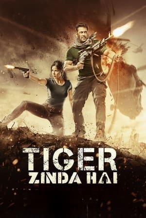 Tiger Zinda Hai 2017