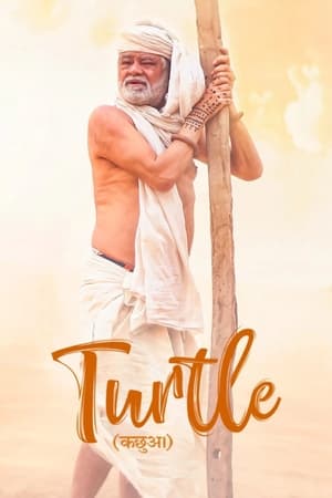 Turtle 2018 BRRIP