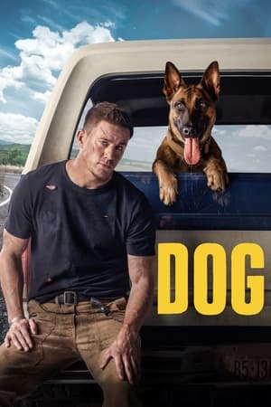 Dog 2022 BRRIp Dual Audio