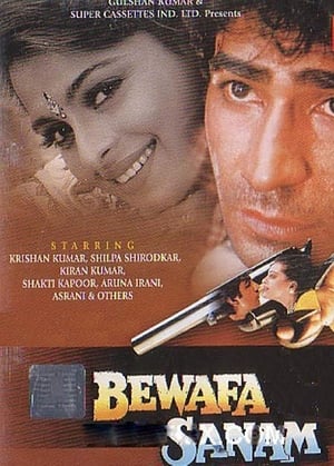 Bewafa Sanam 1995