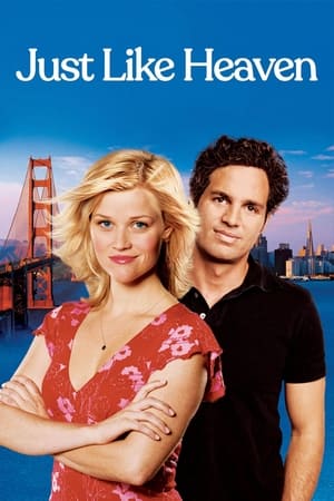 Just Like Heaven 2005 Dual Audio