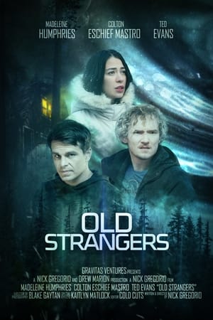 Old Strangers 2022 BRRip