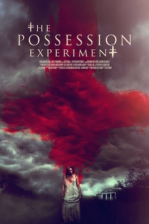 The Possession Experiment (2016)  Dual Audio Hindi