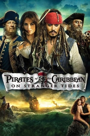 Pirates of the Caribbean: On Stranger Tides 2011 Dual Audio