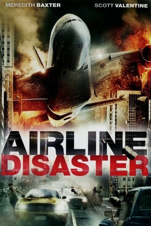 Airline Disaster 2010 Dual Audio