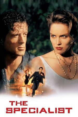 The Specialist 1994 Dual Audio Hindi