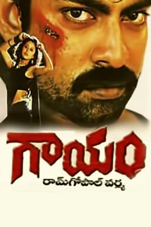 Gaayam 1993