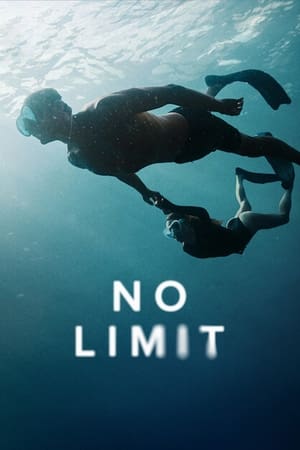 No Limit 2022 Hindi Dual Audio