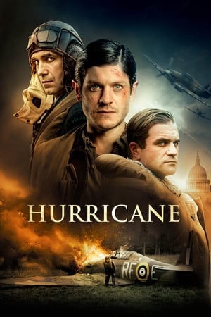 Hurricane 2018 Dual Audio