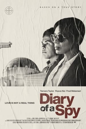 Diary of a Spy 2022 BRRIP