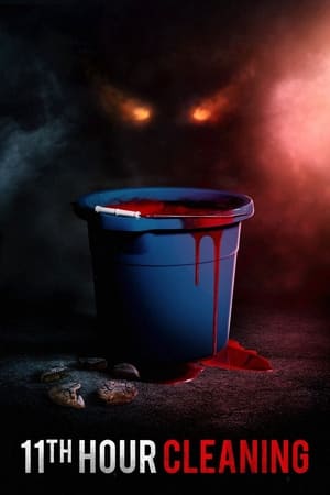 11th Hour Cleaning 2022 BRRIp
