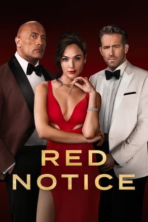 Red Notice (2021) Dual Audio Hindi