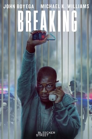 Breaking 2022 BRRIp