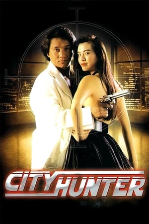 City Hunter 1993 Dual  Audio