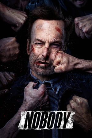 Nobody (2021) Dual Audio Hindi