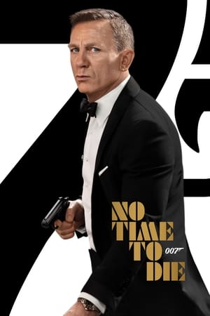 No Time to Die (2021) Dual Audio Hindi