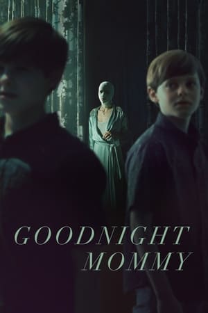Goodnight Mommy 2022 Dual Audio