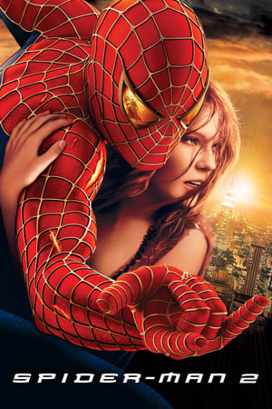 Spider-Man 2 2004 Dual Audio