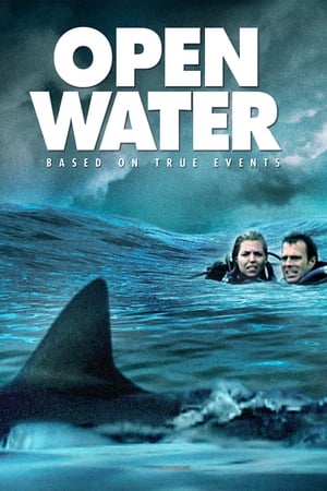 Open Water (2003) Dual Audio