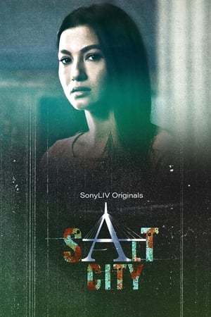 Salt City S01 2022 Hindi Web Serial