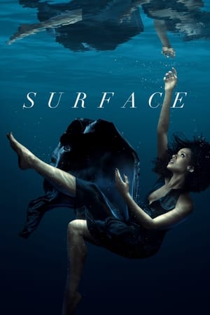 Surface S01 2022 English