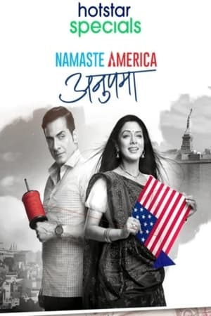 Anupama: Namaste America S01 2022 DSNP Web Series