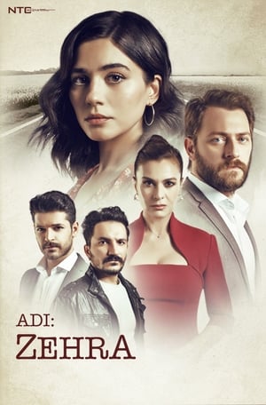 Adi Zehra S01 2018 Hindi Dubbed Web Serial