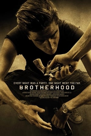 Brotherhood 2010 Dual Audio